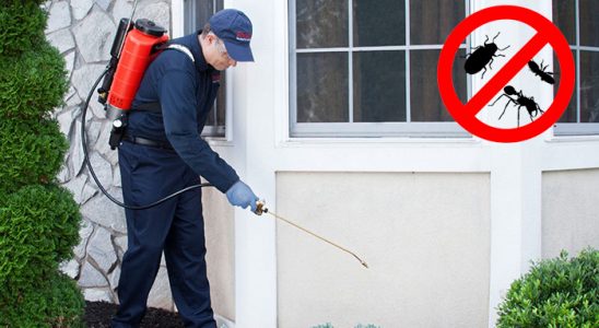 Çankaya Bit İlaçlama böcek ilaçlama ve haşere kontrolü — ilaclama-tr.com